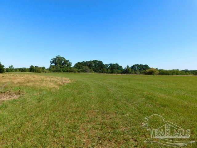 5884 A Sardine Road Brewton, AL 36426 - Photo 3 of 25