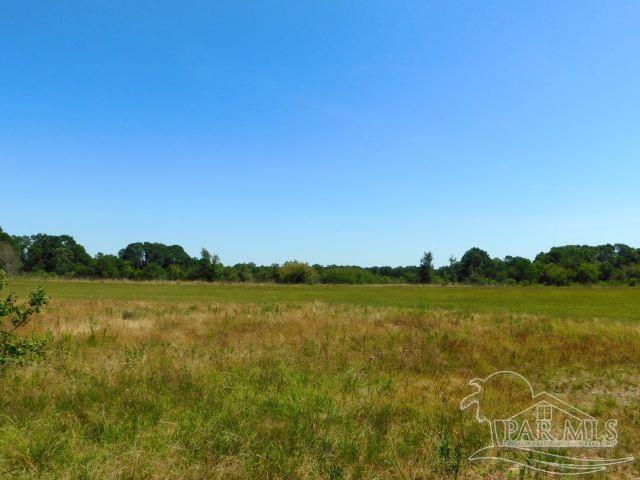 5884 A Sardine Road Brewton, AL 36426 - Photo 23 of 25