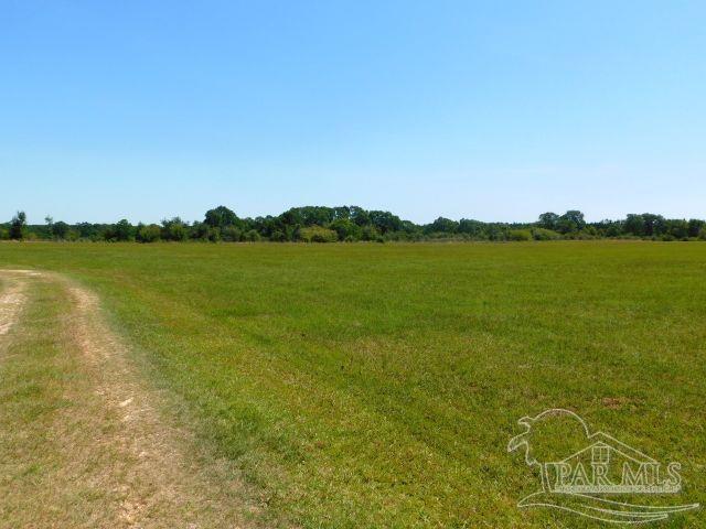 5884 A Sardine Road Brewton, AL 36426 - Photo 24 of 25