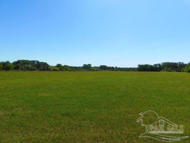 5884 A Sardine Road Brewton, AL 36426 - Photo 4 of 25