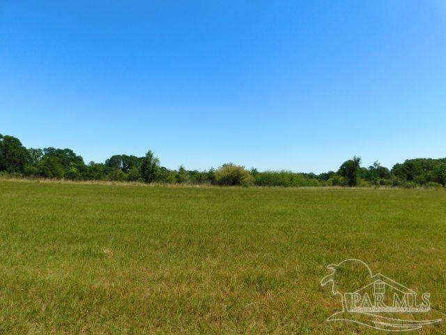 5884 A Sardine Road Brewton, AL 36426 - Photo 5 of 25