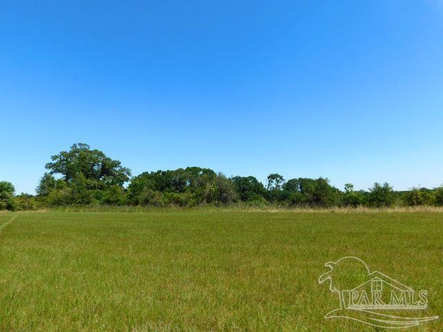 5884 A Sardine Road Brewton, AL 36426 - Photo 6 of 25