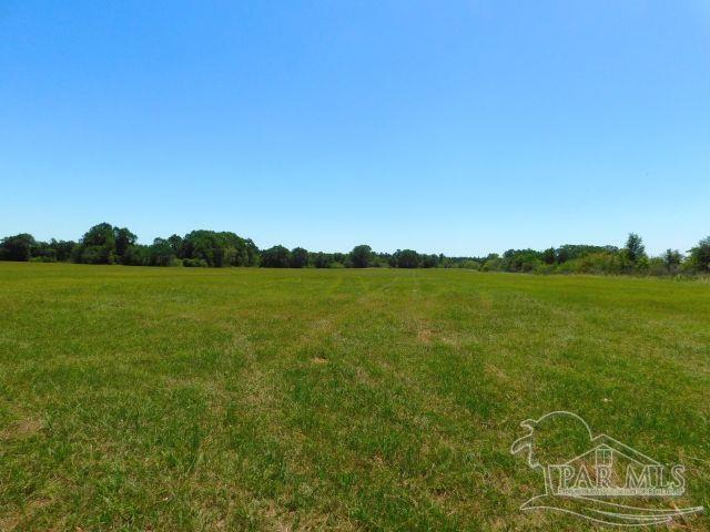 5884 A Sardine Road Brewton, AL 36426 - Photo 7 of 25