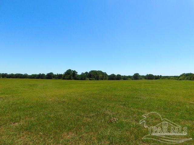 5884 A Sardine Road Brewton, AL 36426 - Photo 8 of 25