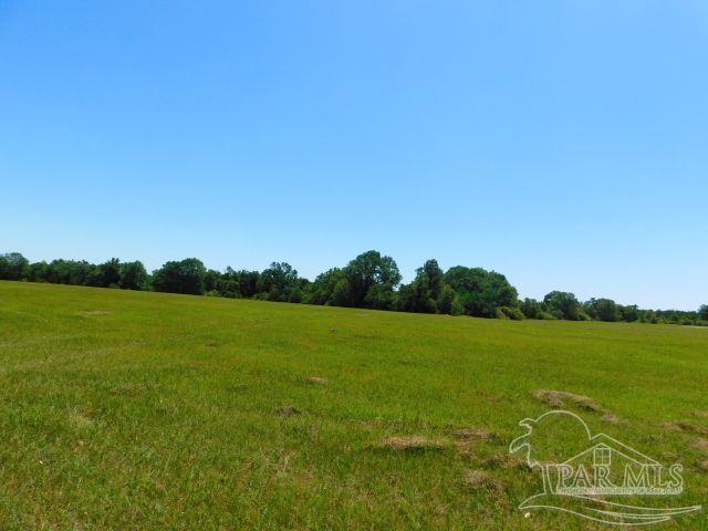 5884 A Sardine Road Brewton, AL 36426 - Photo 10 of 25
