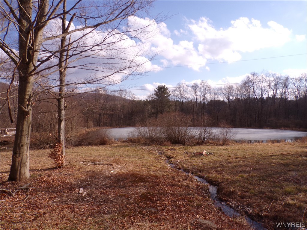 9761 Hewitt Road Clarksville, NY 14727 - Photo 1 of 1 Gallery Image 1