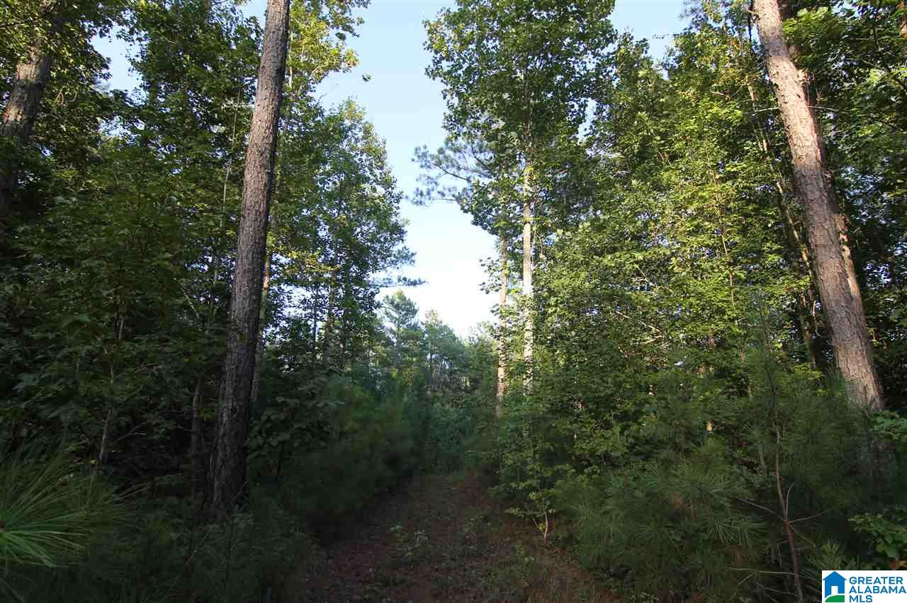 632 County Road, Unit 21 Roanoke, AL 36274 - Photo 4 of 7