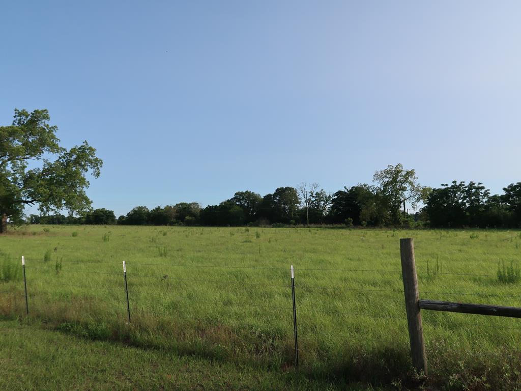 0 East Columbia Road Newville, AL 36353 - Photo 4 of 15