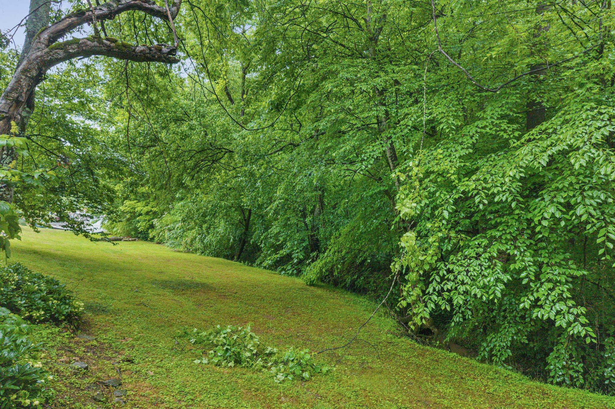 310 Hasty Hollow Road Lynchburg, TN 37352 - Photo 44 of 54