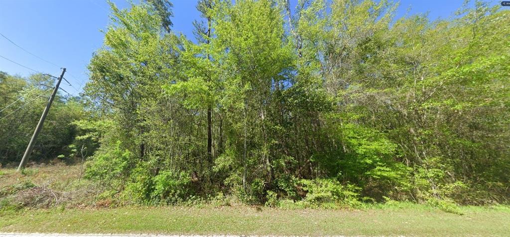 100 West State Line Road Century, FL 32535 - Photo 2 of 6 a view of a yard