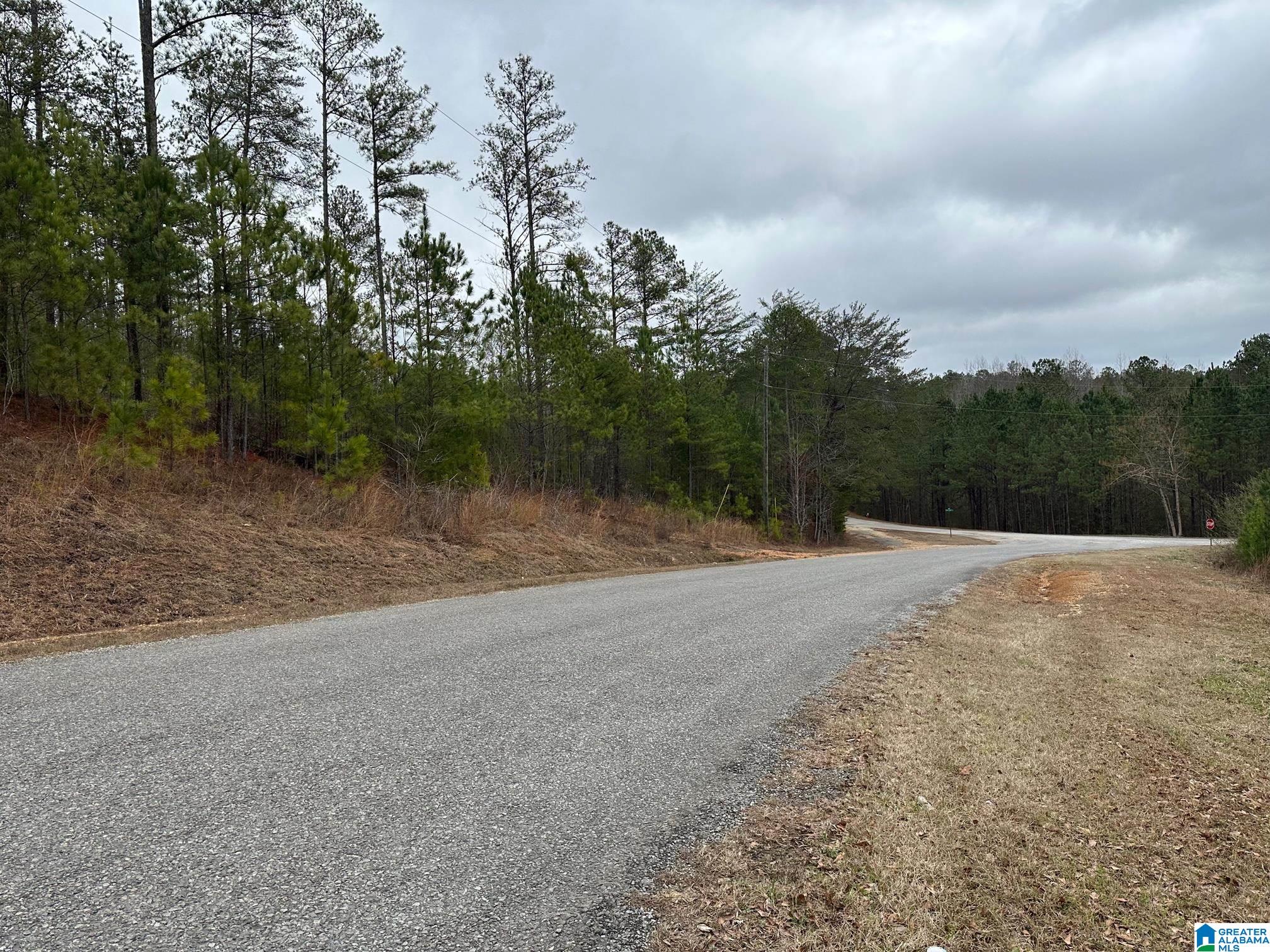 Lake Road, Unit TRACT 12 Odenville, AL 35120 - Photo 1 of 3