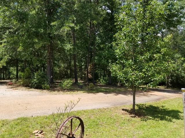 4372 Marshall Williams Road West Point, GA 31833 - Photo 11 of 34 Gallery Image 11