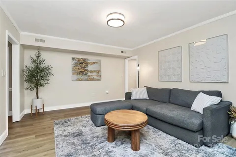 a living room with a couch and a potted plant