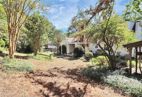 a view of a yard with plants and trees