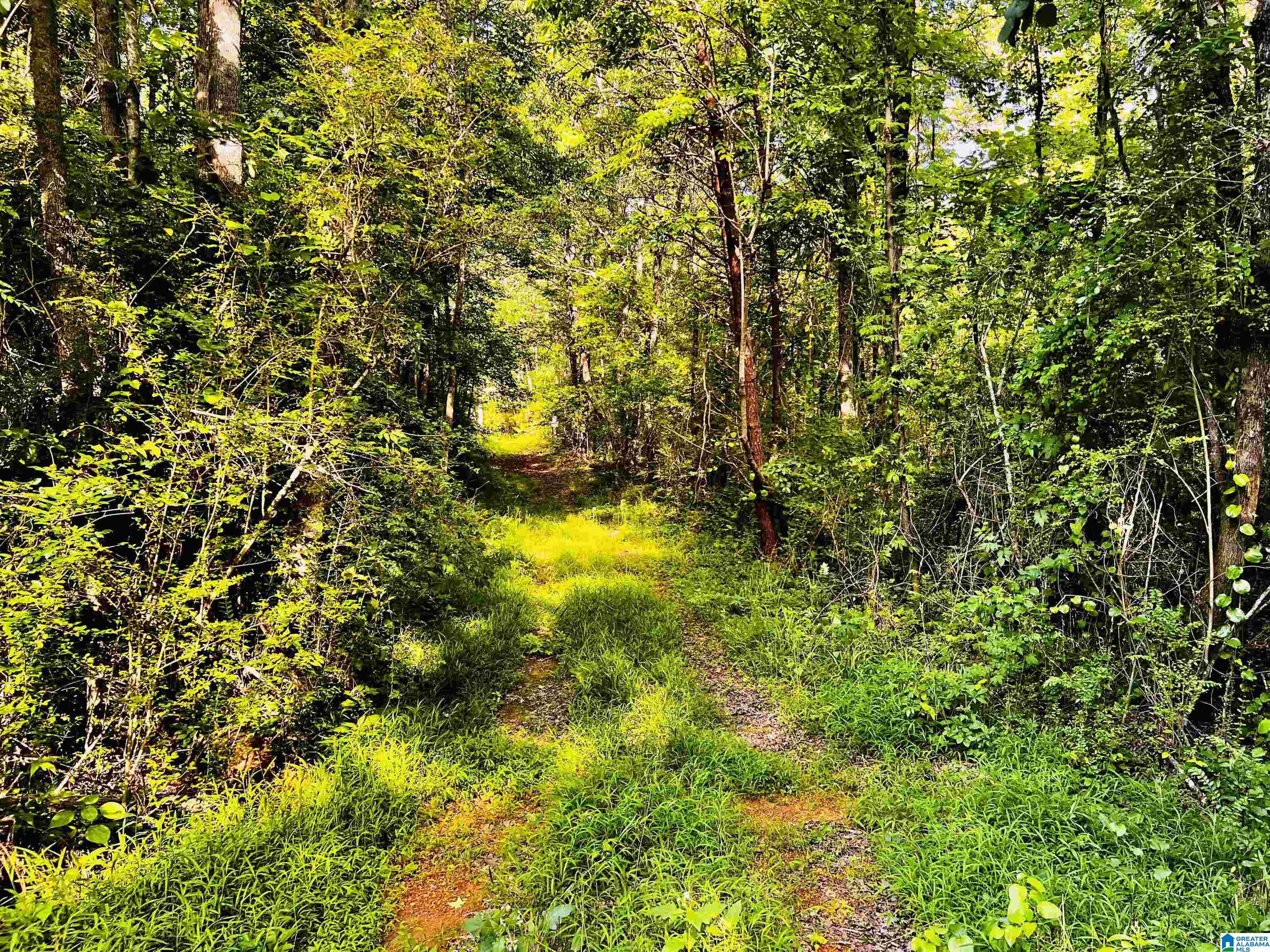 424 Ronbar Road, Unit 1 Columbiana, AL 35051 - Photo 26 of 39