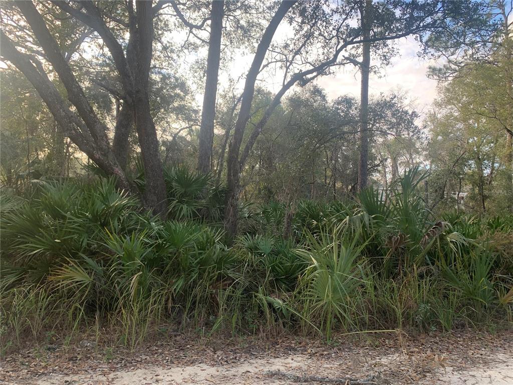 0 Southwest 102nd Avenue Cedar Key, FL 32625 - Photo 1 of 1