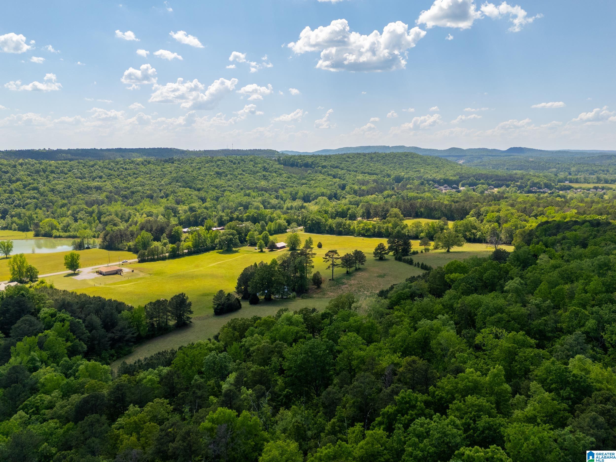 0 Highway 174, Unit 1 Springville, AL 35146 - Photo 9 of 14