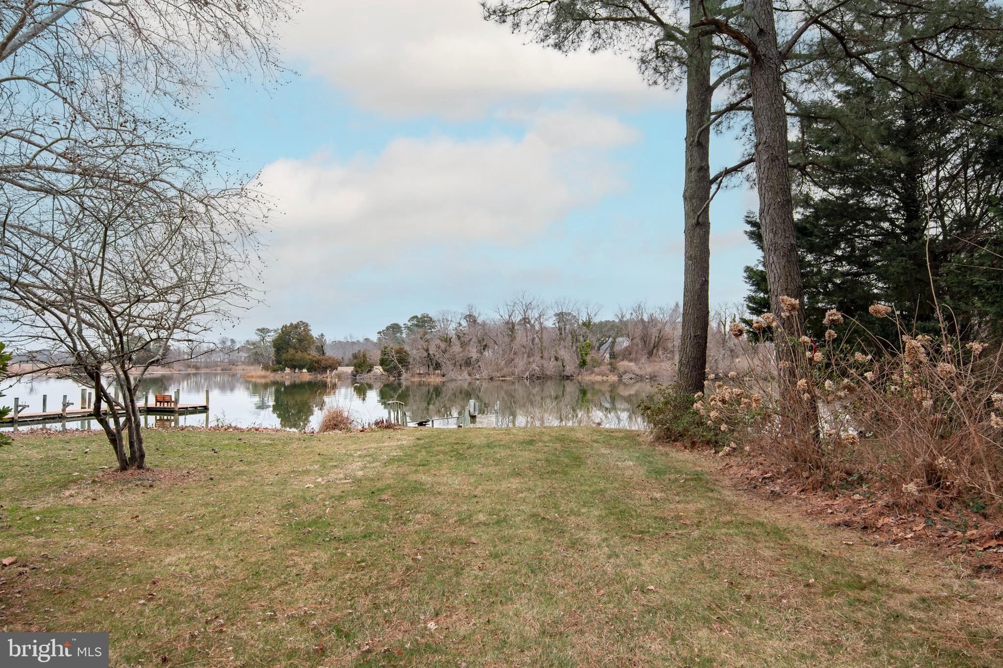 5529 Whitehall Road Cambridge, MD 21613 - Photo 12 of 41 a view of a yard with large trees