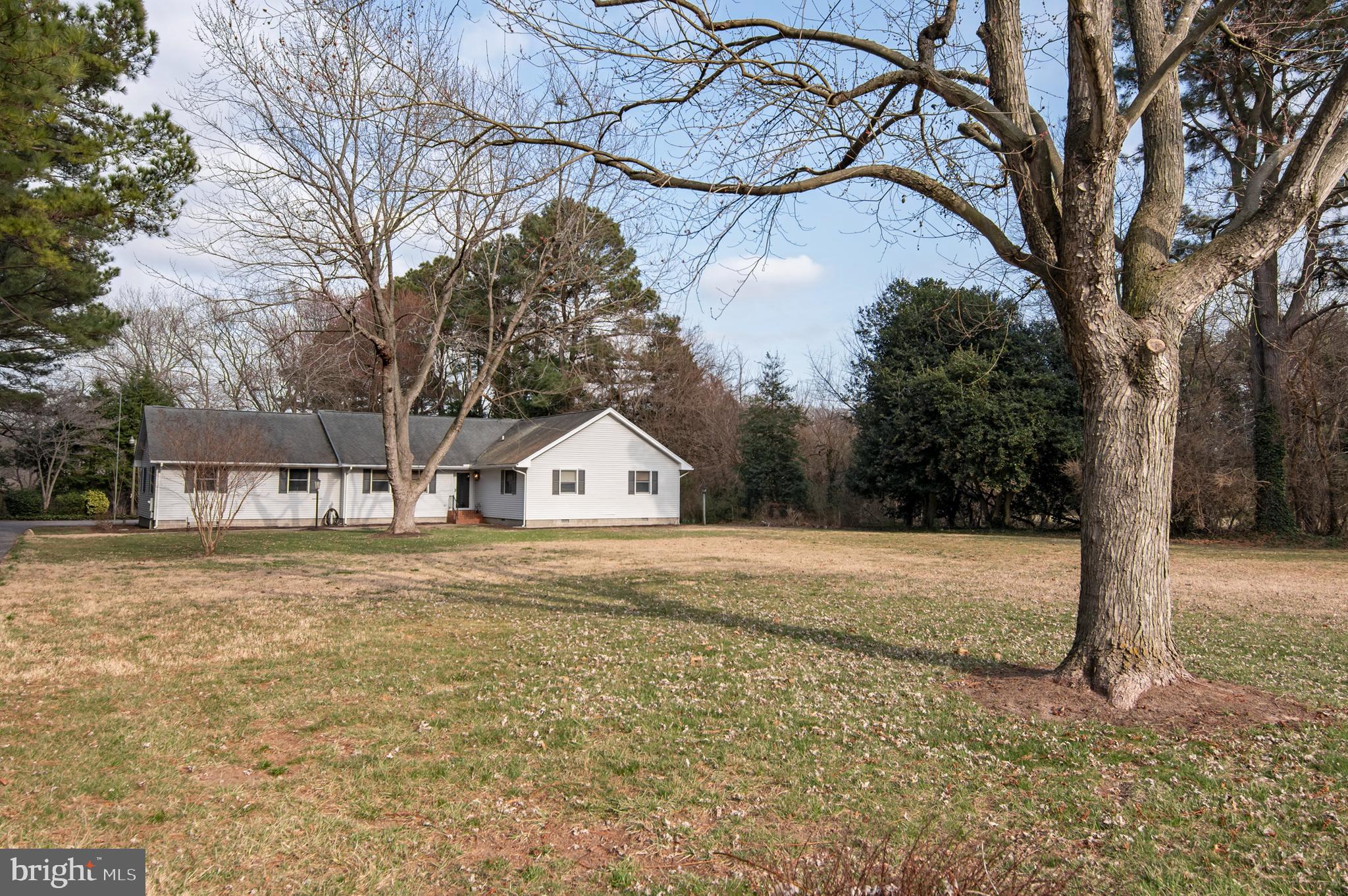 5529 Whitehall Road Cambridge, MD 21613 - Photo 15 of 41 Expansive Lawn