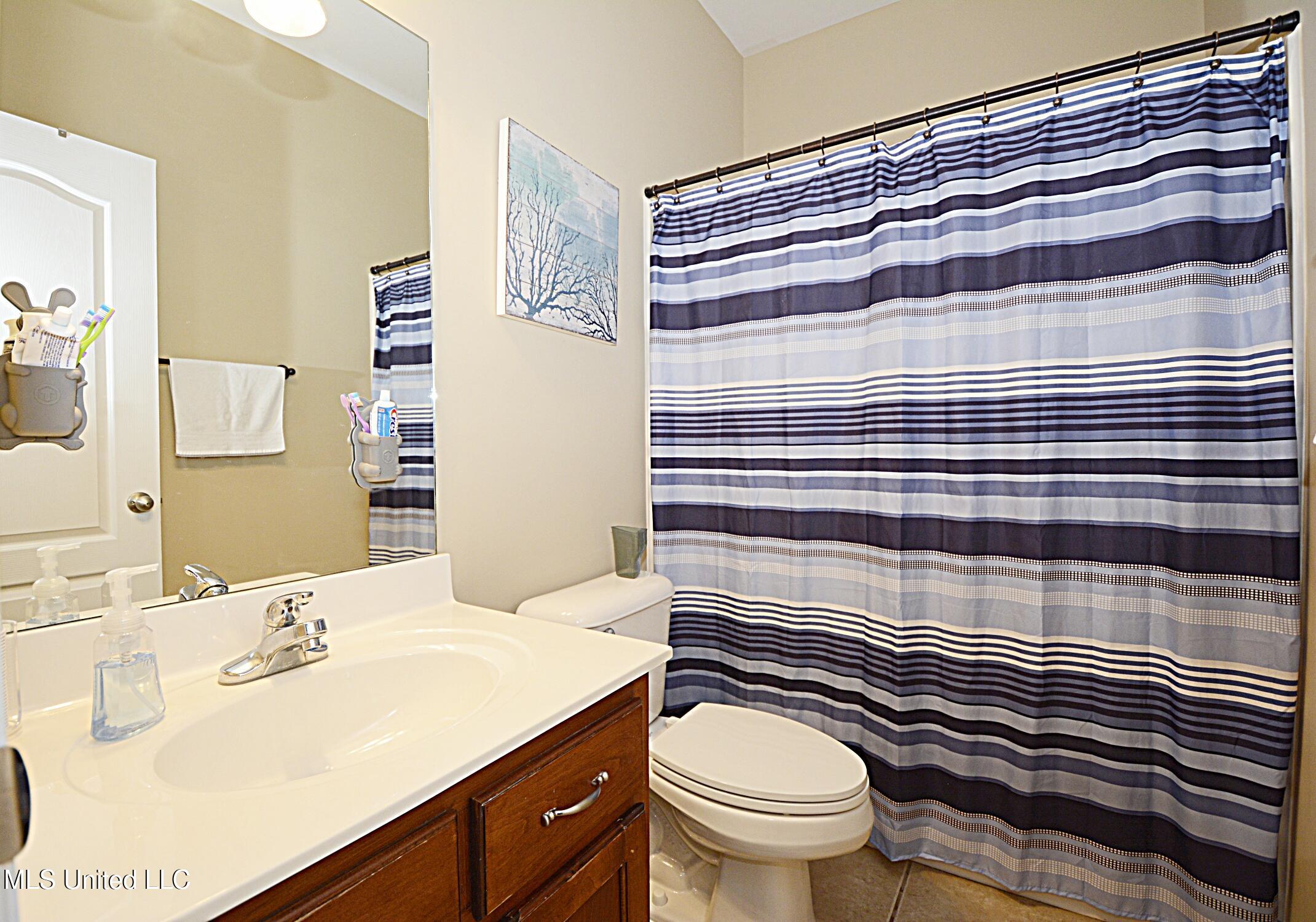 4051 Misty Oaks Lane Nesbit, MS 38651 - Photo 25 of 39 Bathroom 2