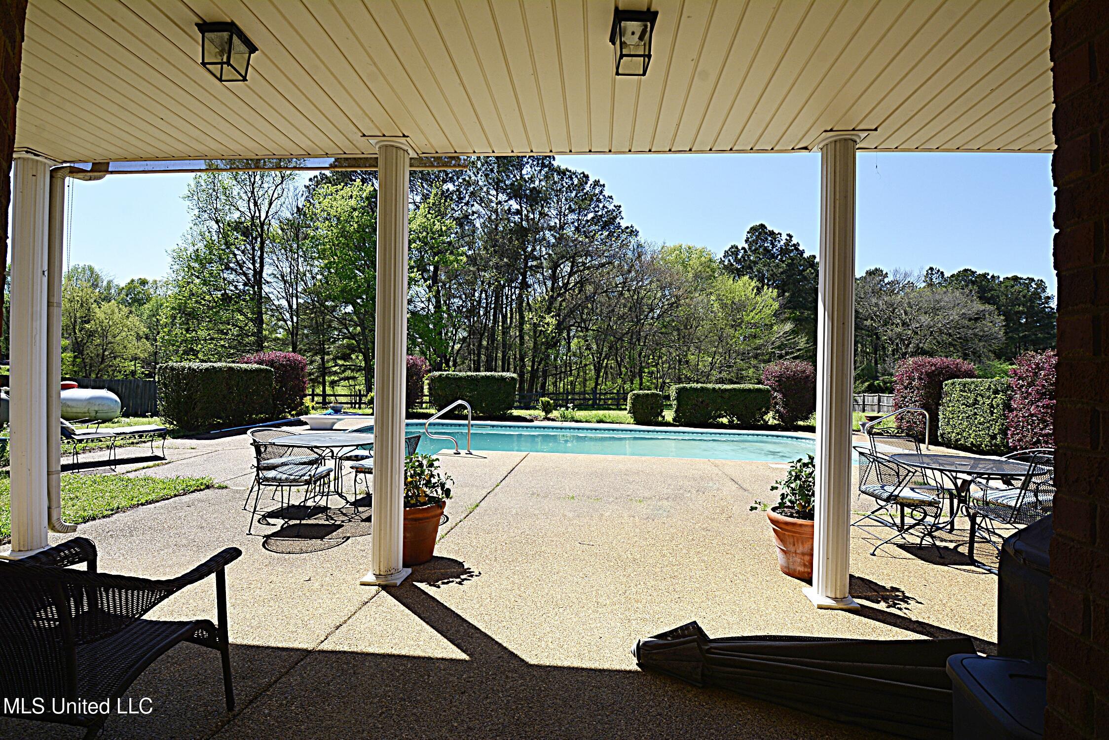 4051 Misty Oaks Lane Nesbit, MS 38651 - Photo 36 of 39 Backyard view from Back Door