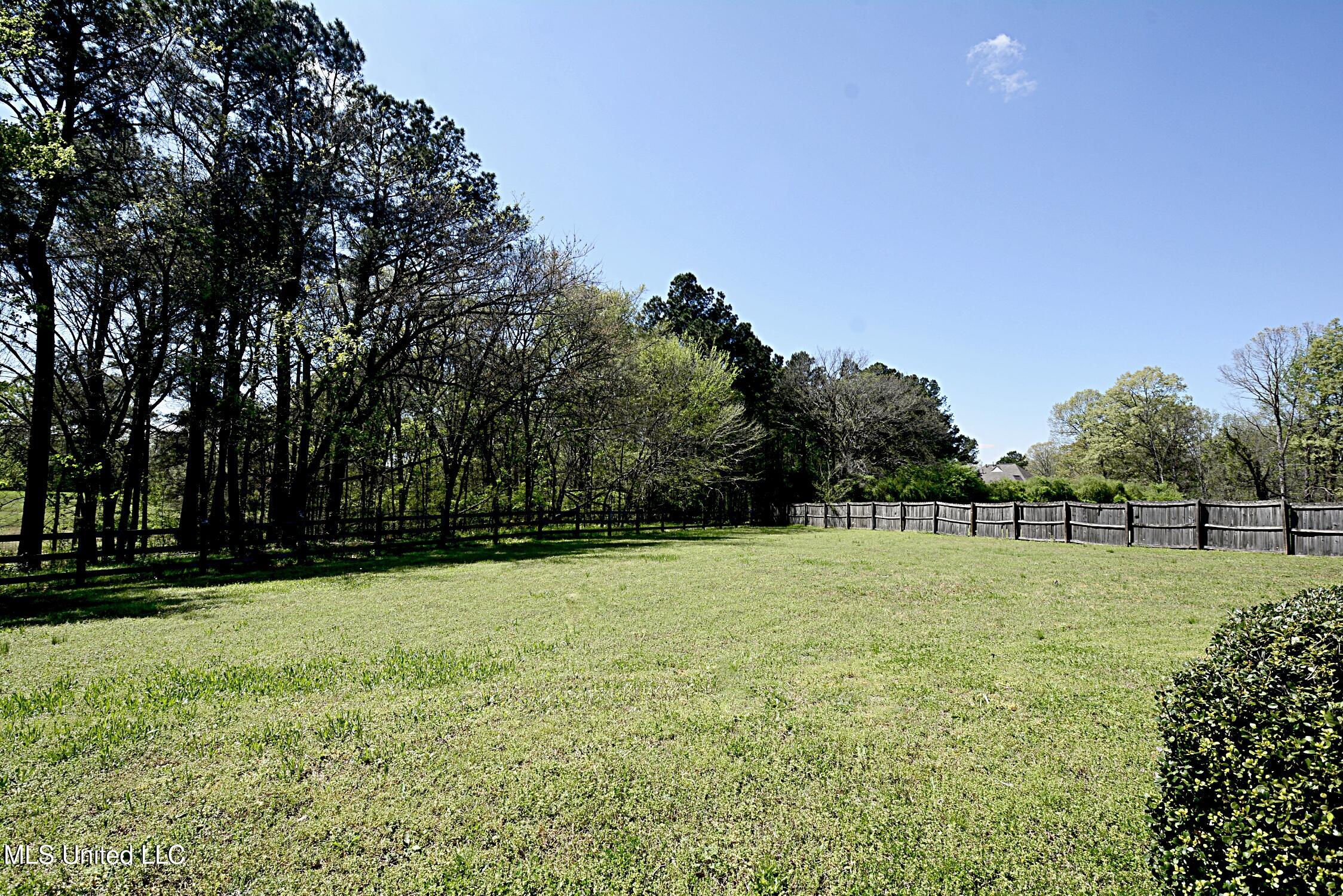 4051 Misty Oaks Lane Nesbit, MS 38651 - Photo 38 of 39 Backyard