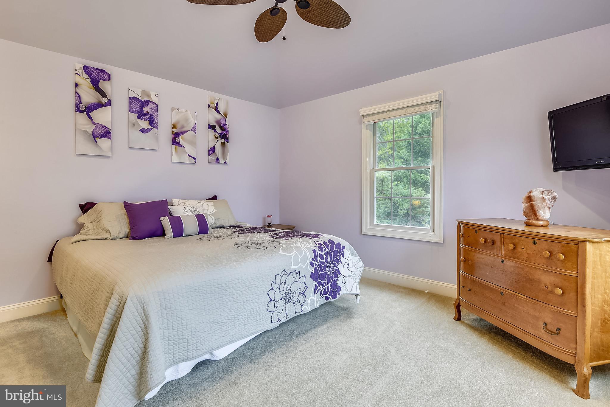 4860 Friendship Acres Road Nanjemoy, MD 20662 - Photo 45 of 102 Ceiling fan, carpet