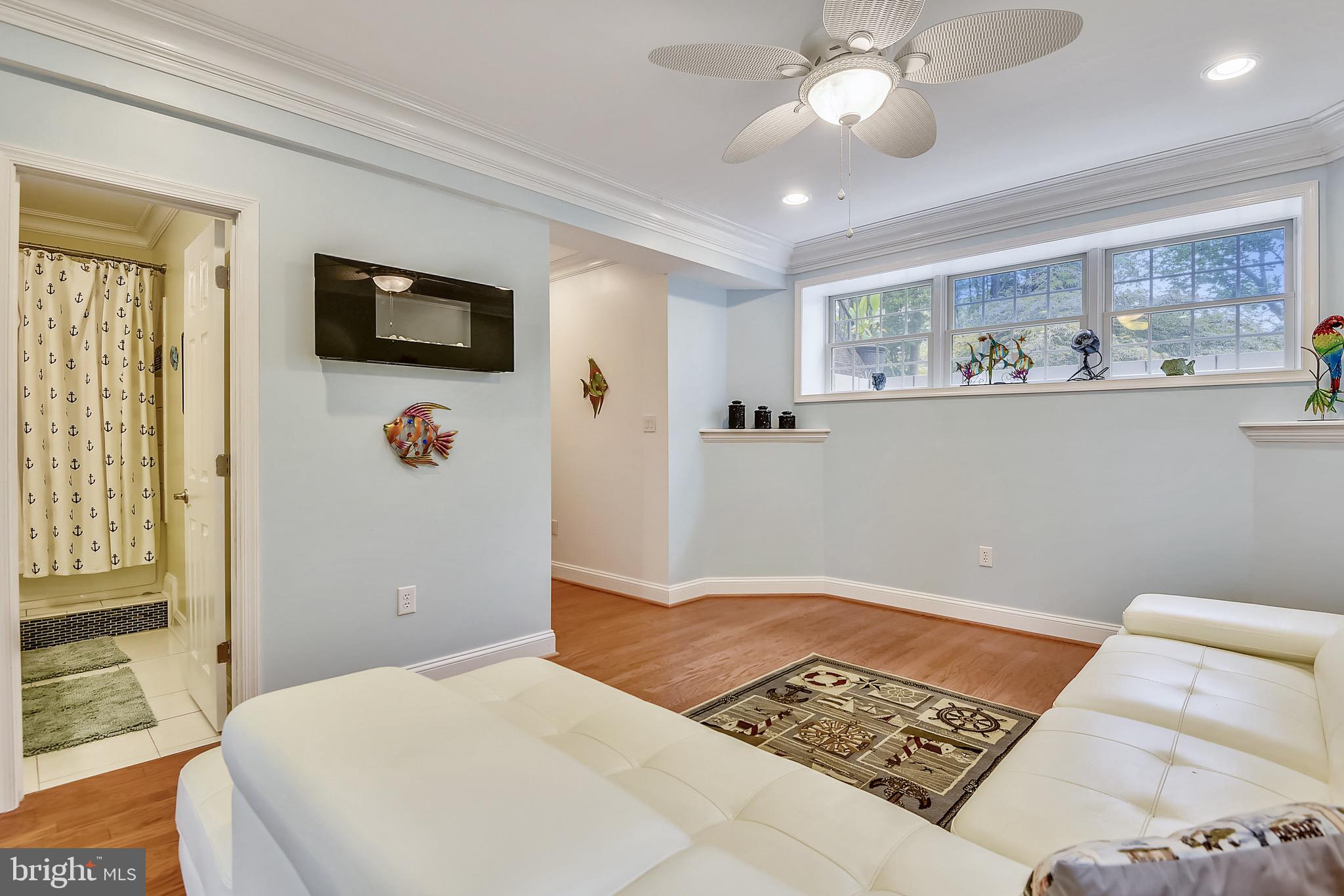 4860 Friendship Acres Road Nanjemoy, MD 20662 - Photo 50 of 102 Full sunlight in basement