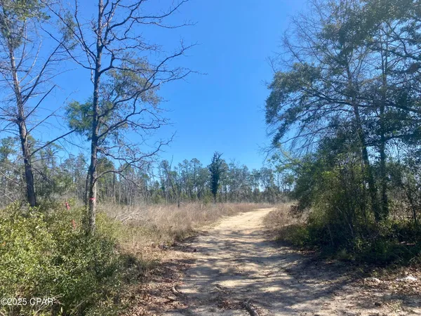 $200,000 | 50-acres Northwest Sellers Road, Bristol, FL 32321