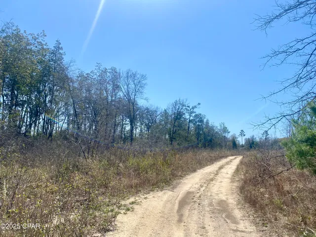 $200,000 | 50-acres Northwest Sellers Road, Bristol, FL 32321