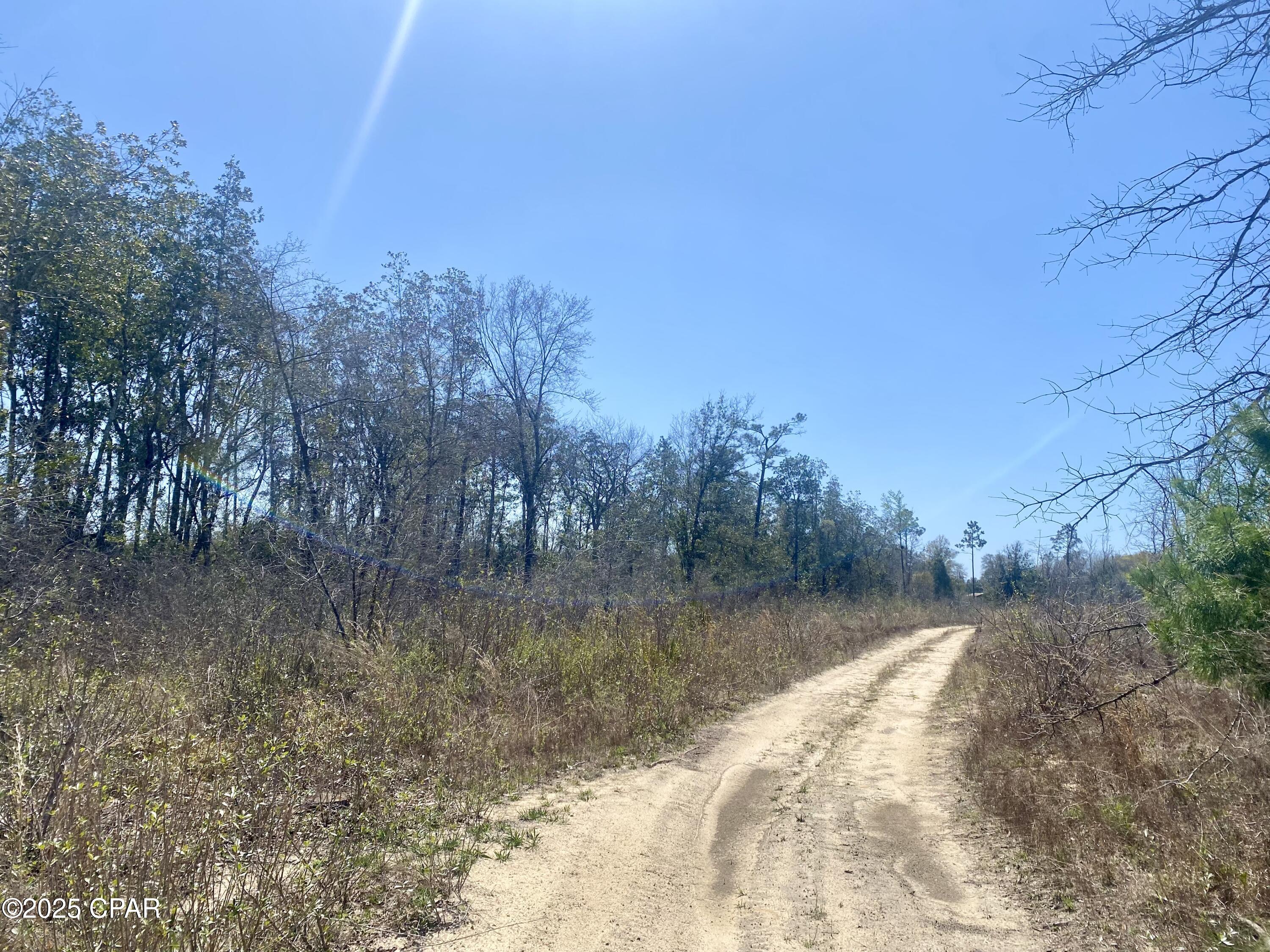 50-acres Northwest Sellers Road Bristol, FL 32321 - Photo 3 of 9