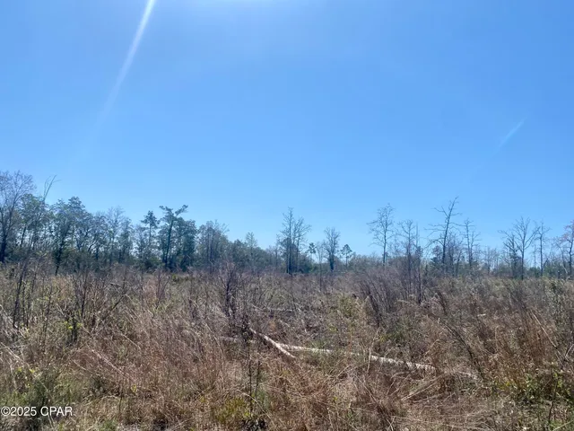 $200,000 | 50-acres Northwest Sellers Road, Bristol, FL 32321