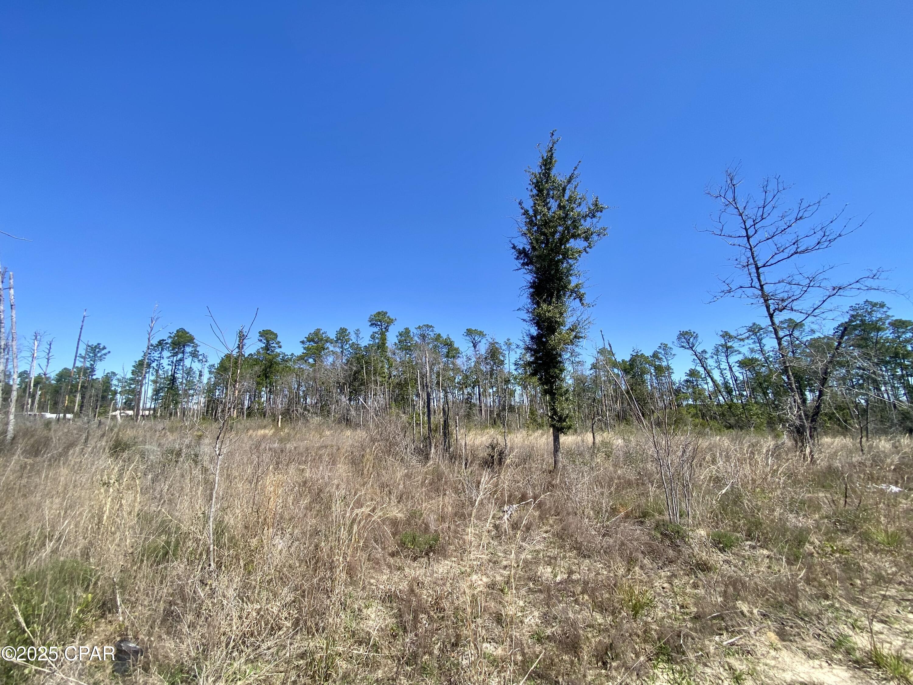 50-acres Northwest Sellers Road Bristol, FL 32321 - Photo 5 of 9