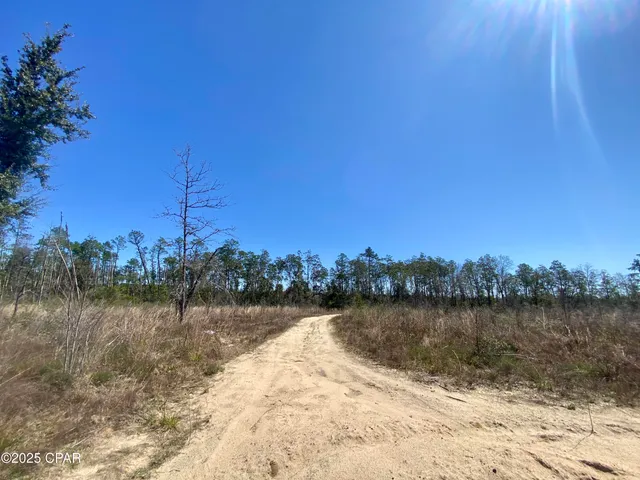 $200,000 | 50-acres Northwest Sellers Road, Bristol, FL 32321