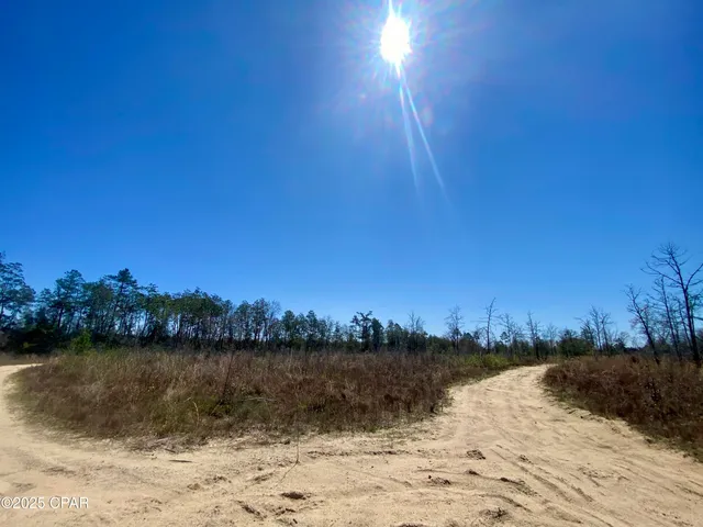 $200,000 | 50-acres Northwest Sellers Road, Bristol, FL 32321