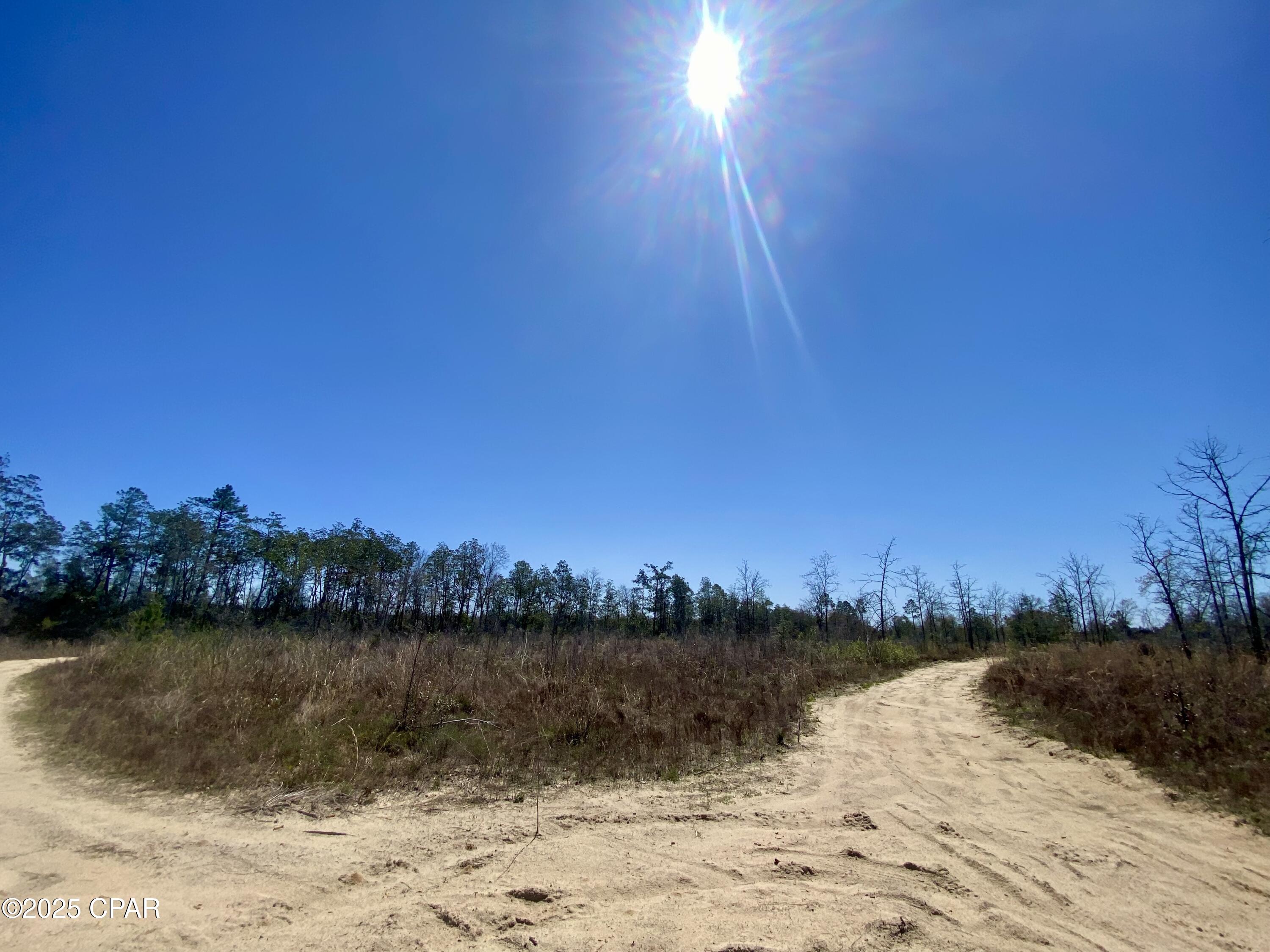 50-acres Northwest Sellers Road Bristol, FL 32321 - Photo 7 of 9