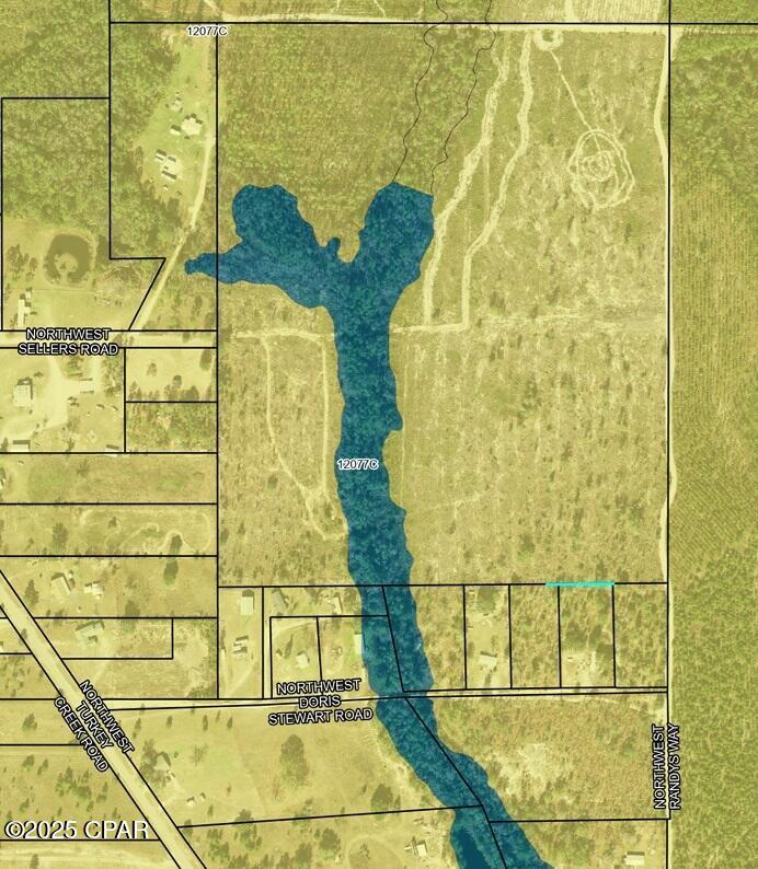 50-acres Northwest Sellers Road Bristol, FL 32321 - Photo 9 of 9