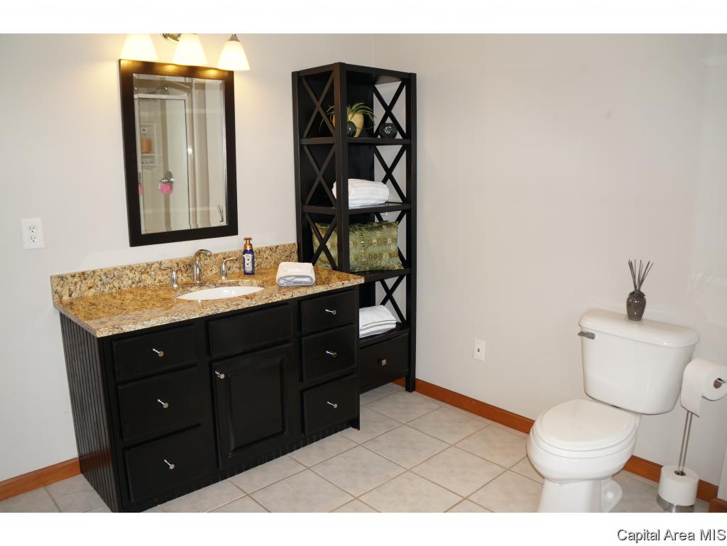 6040 Iron Bridge Road Chatham, IL 62629 - Photo 15 of 33