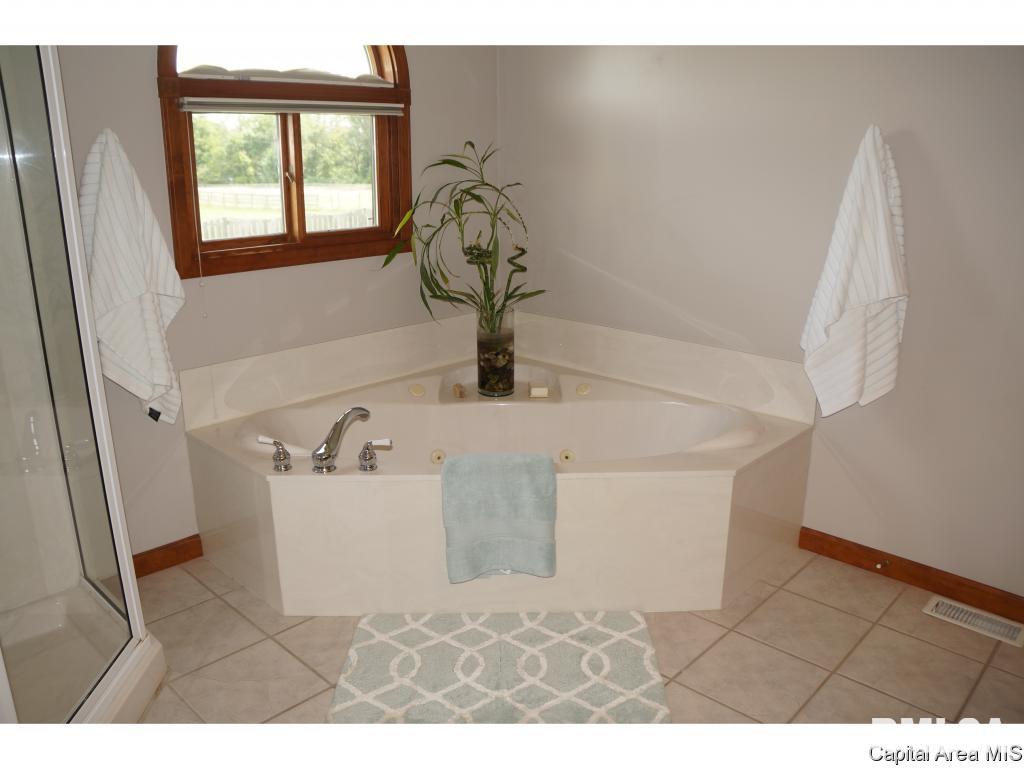 6040 Iron Bridge Road Chatham, IL 62629 - Photo 18 of 33