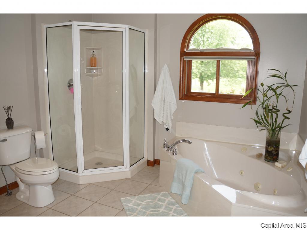 6040 Iron Bridge Road Chatham, IL 62629 - Photo 19 of 33