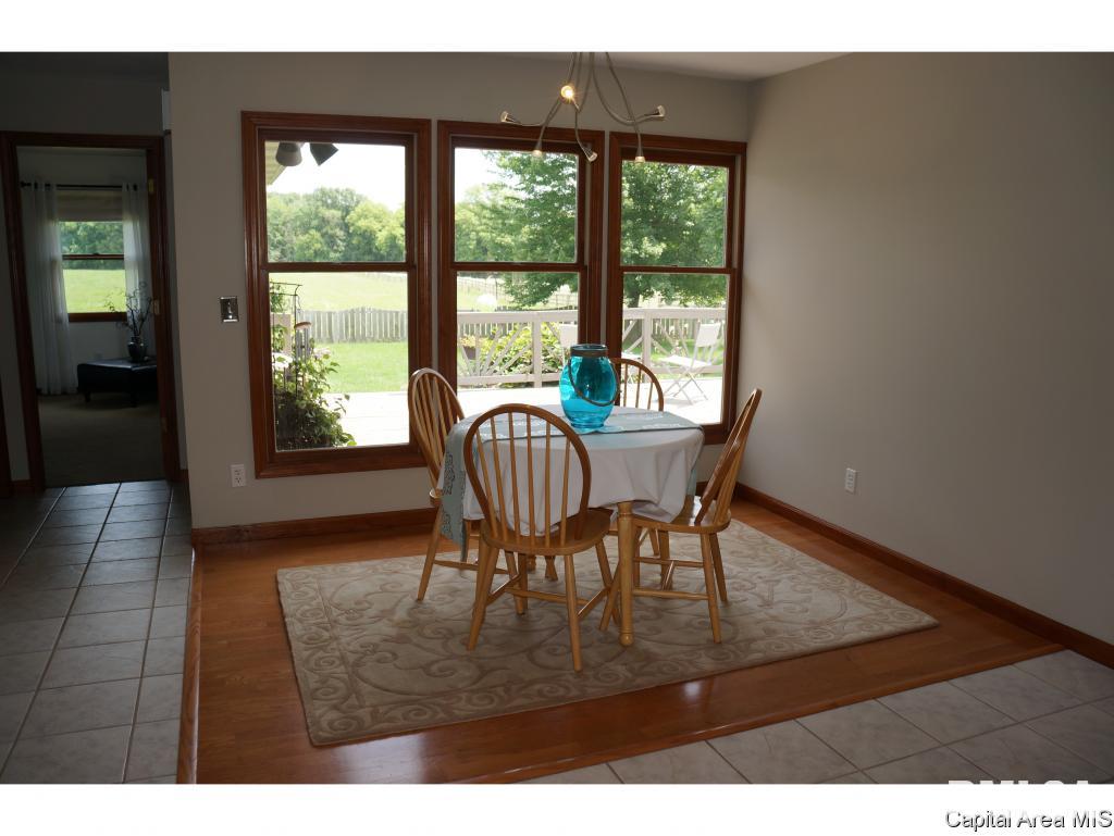 6040 Iron Bridge Road Chatham, IL 62629 - Photo 20 of 33