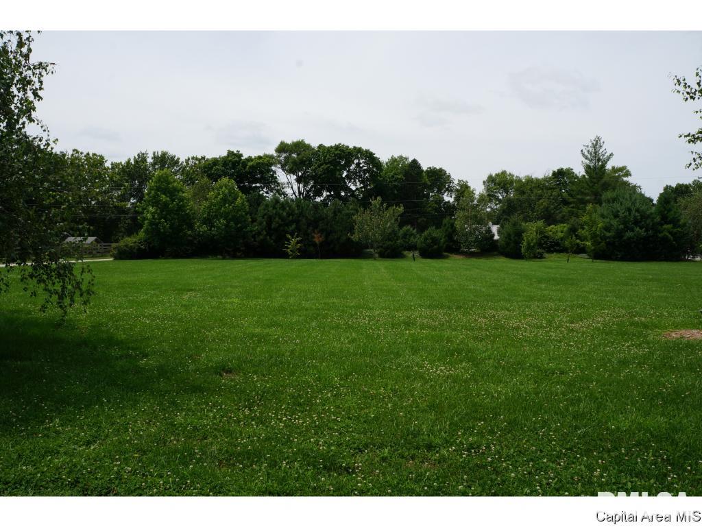 6040 Iron Bridge Road Chatham, IL 62629 - Photo 25 of 33