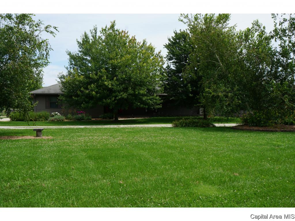 6040 Iron Bridge Road Chatham, IL 62629 - Photo 29 of 33