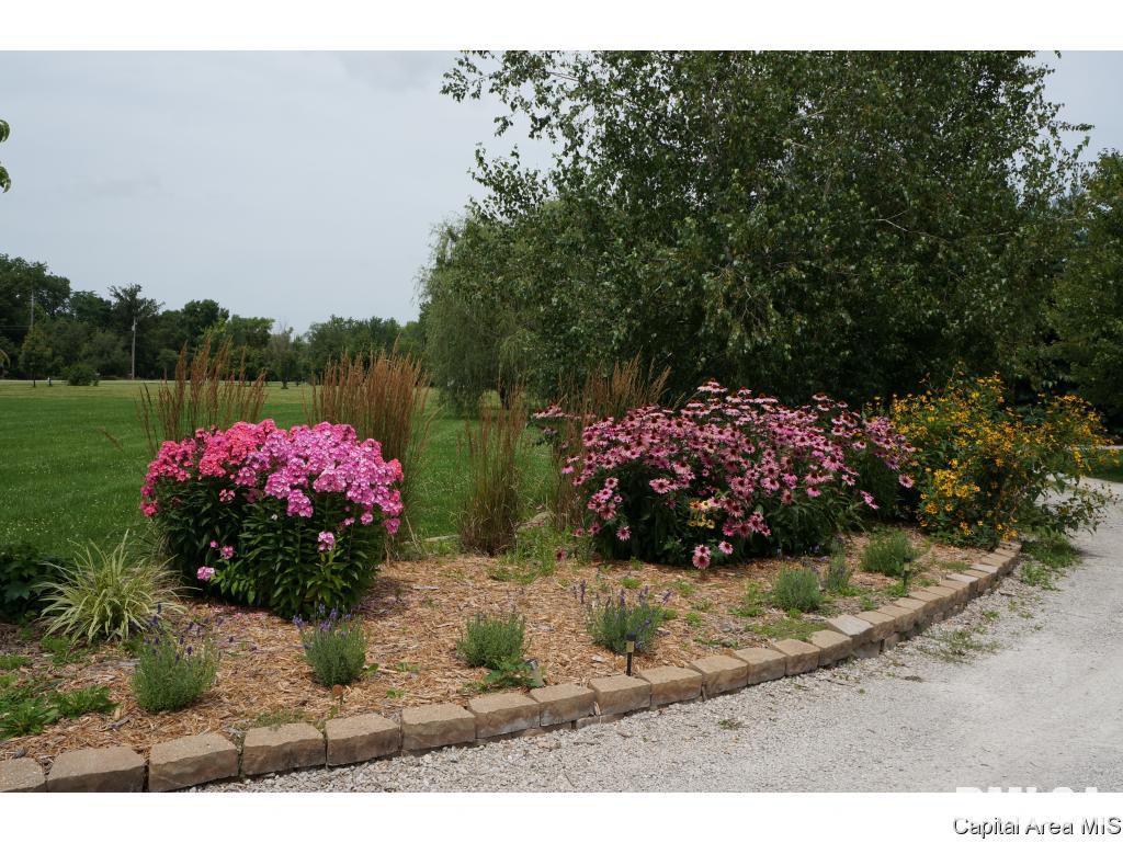 6040 Iron Bridge Road Chatham, IL 62629 - Photo 30 of 33
