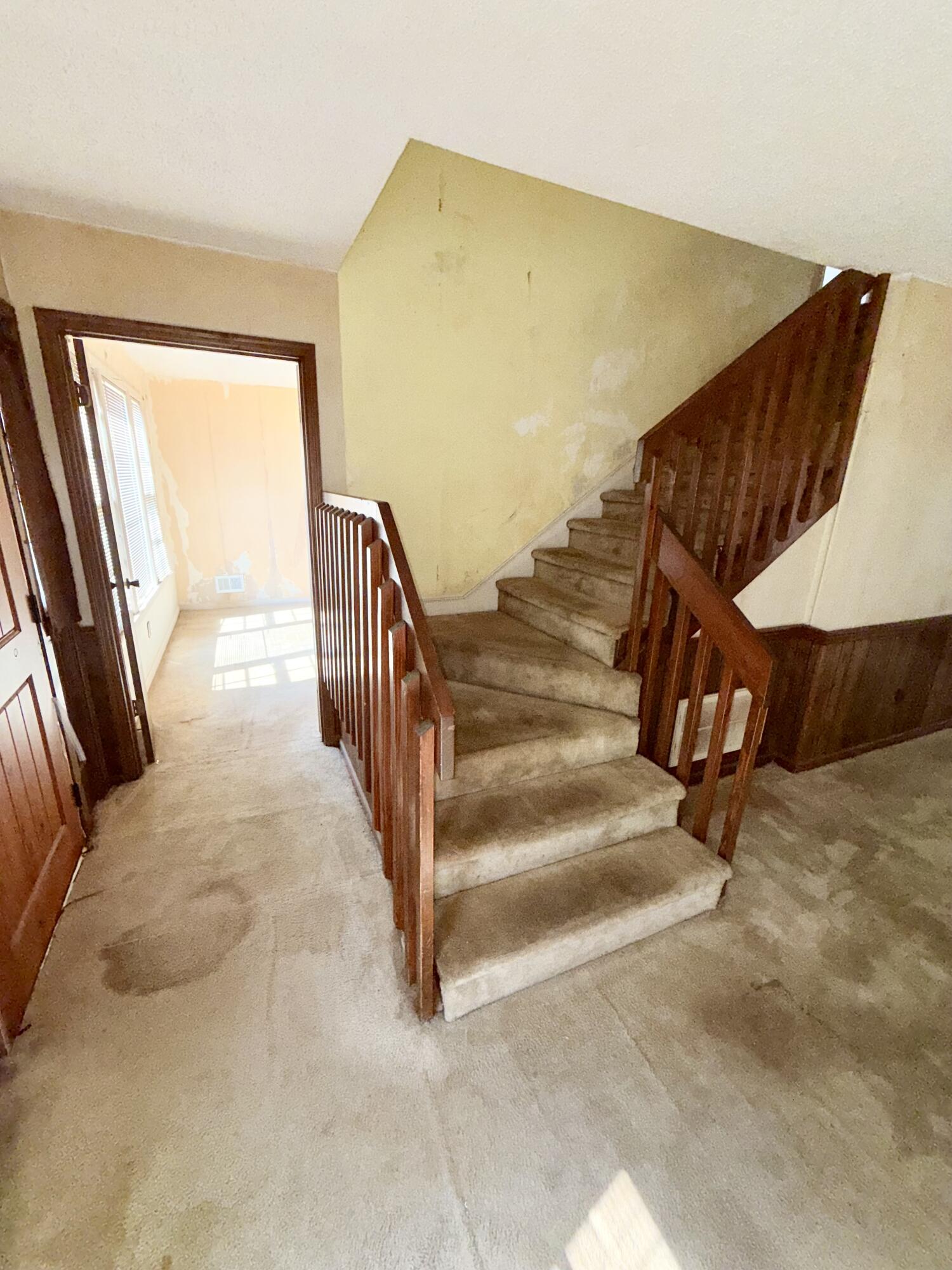 7901 Tradd Street Columbia, SC 29209 - Photo 27 of 37 IMG_9990