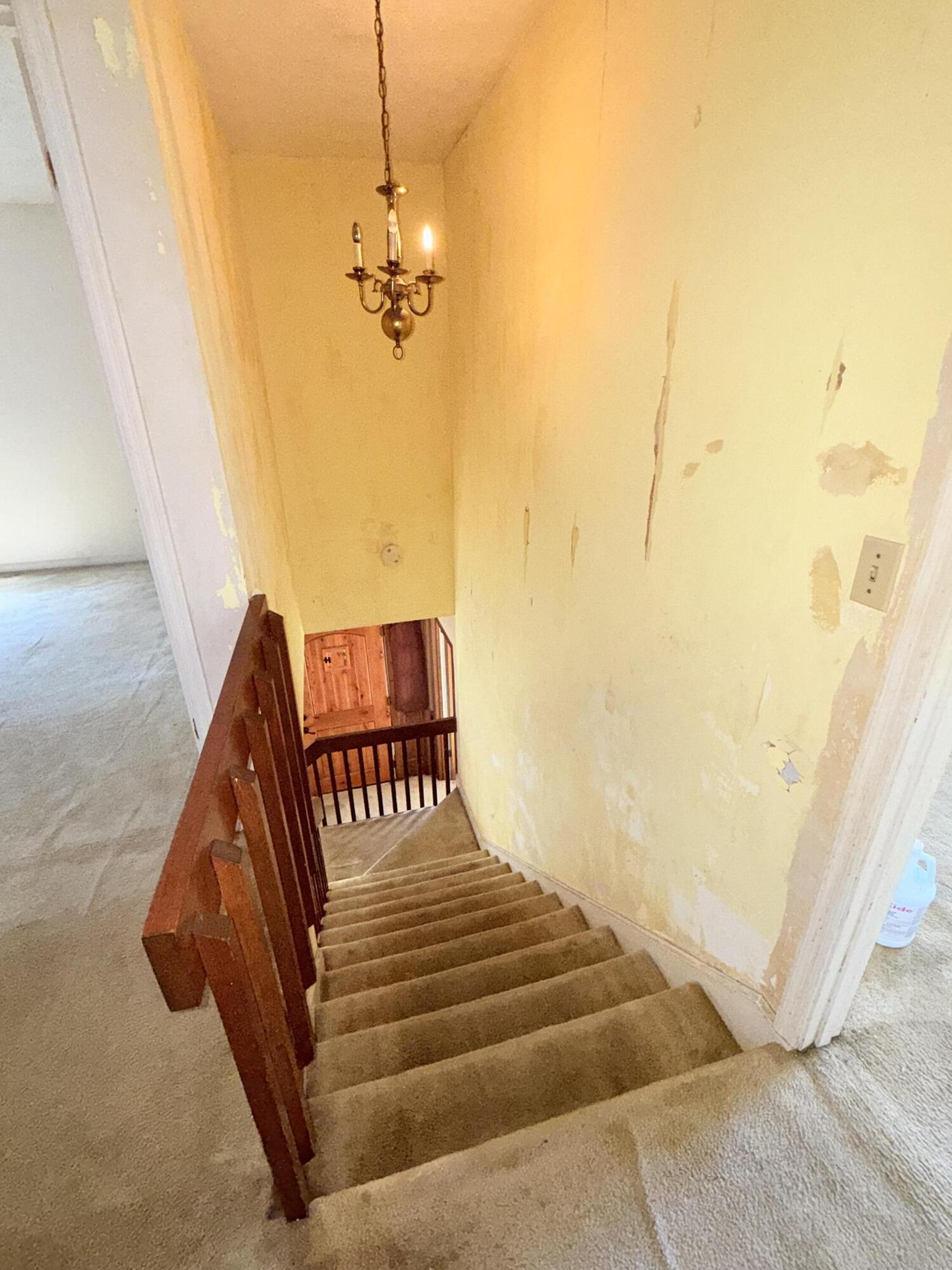 7901 Tradd Street Columbia, SC 29209 - Photo 37 of 37 IMG_0012