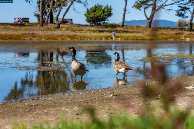 $599,000 | 206 Cottage Avenue, Richmond, CA 94801