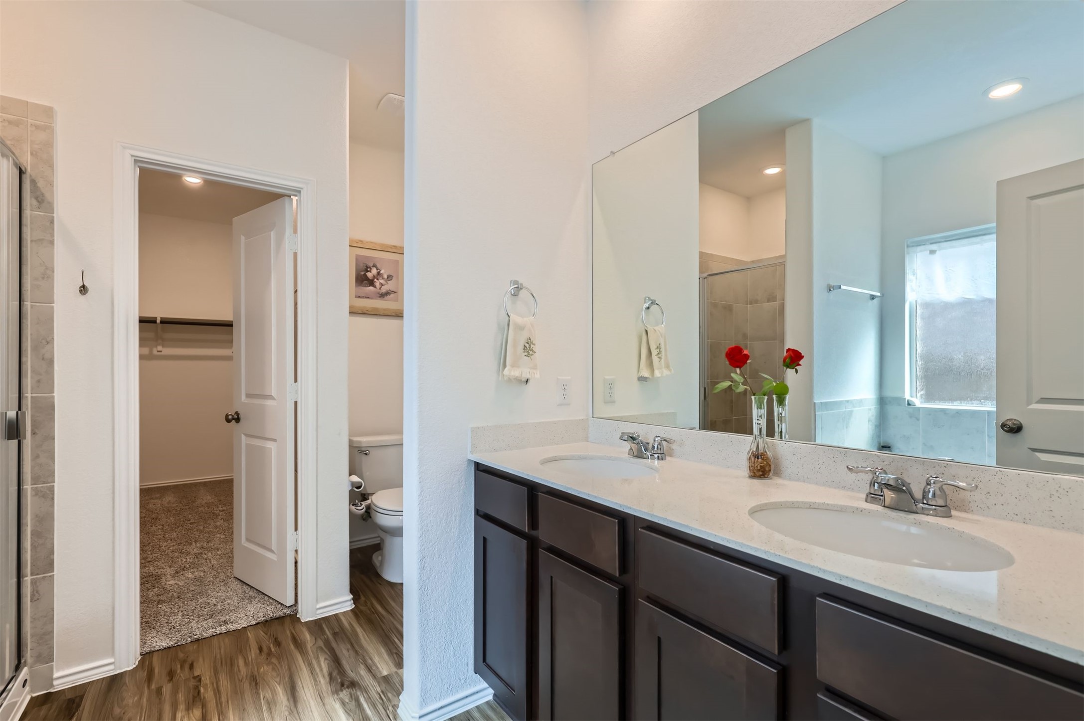 1632 Woolsey Way Leander, TX 78641 - Photo 15 of 29 Large vanity and closet that includes drawer spaces.