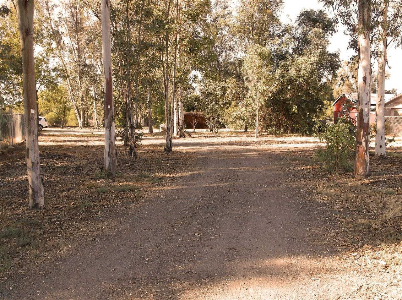 1244 Barnett Road Ramona, CA 92065 - Photo 2 of 18 Driveway
