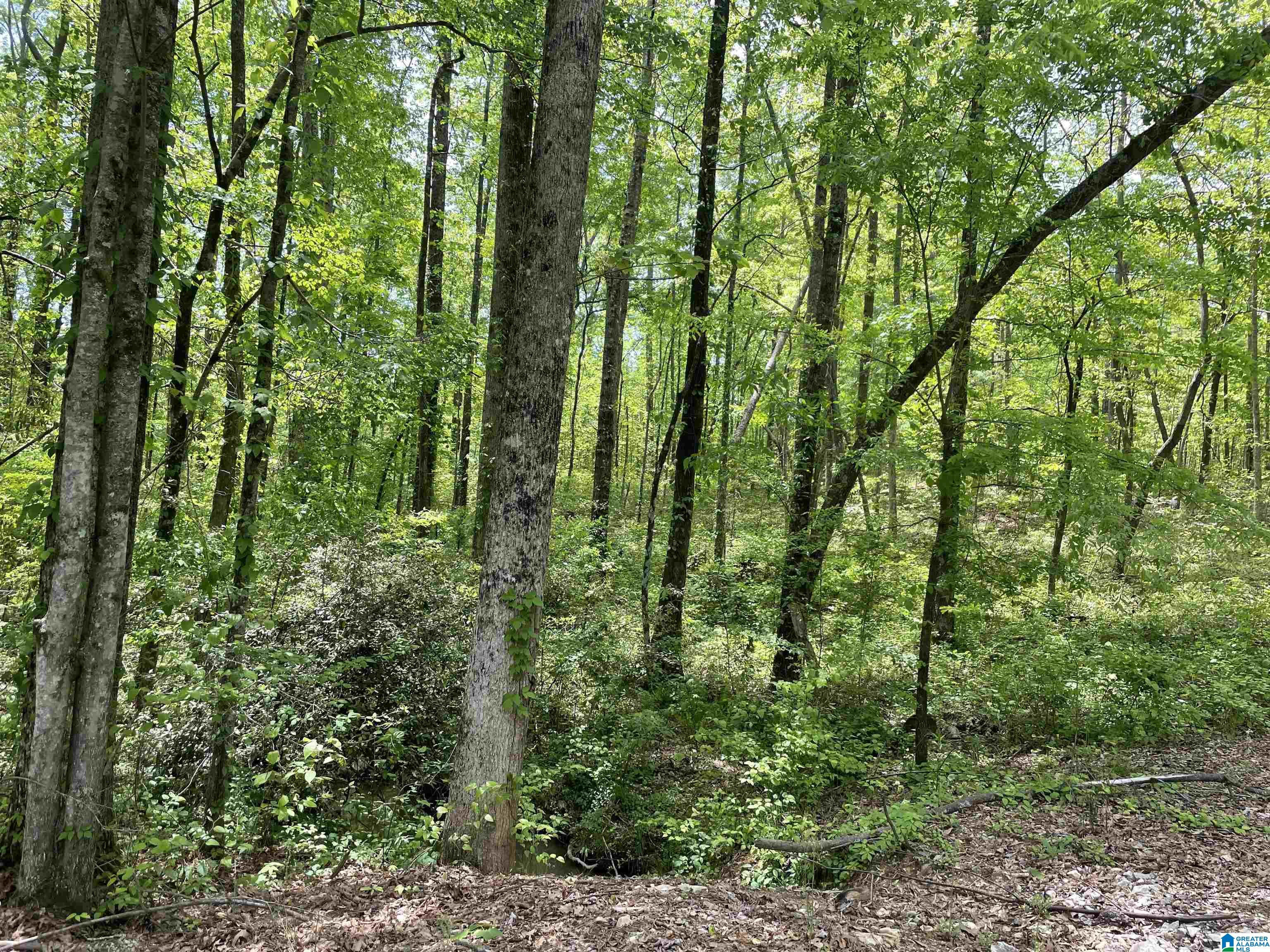 30 Gum Springs Road Sylacauga, AL 35151 - Photo 16 of 18